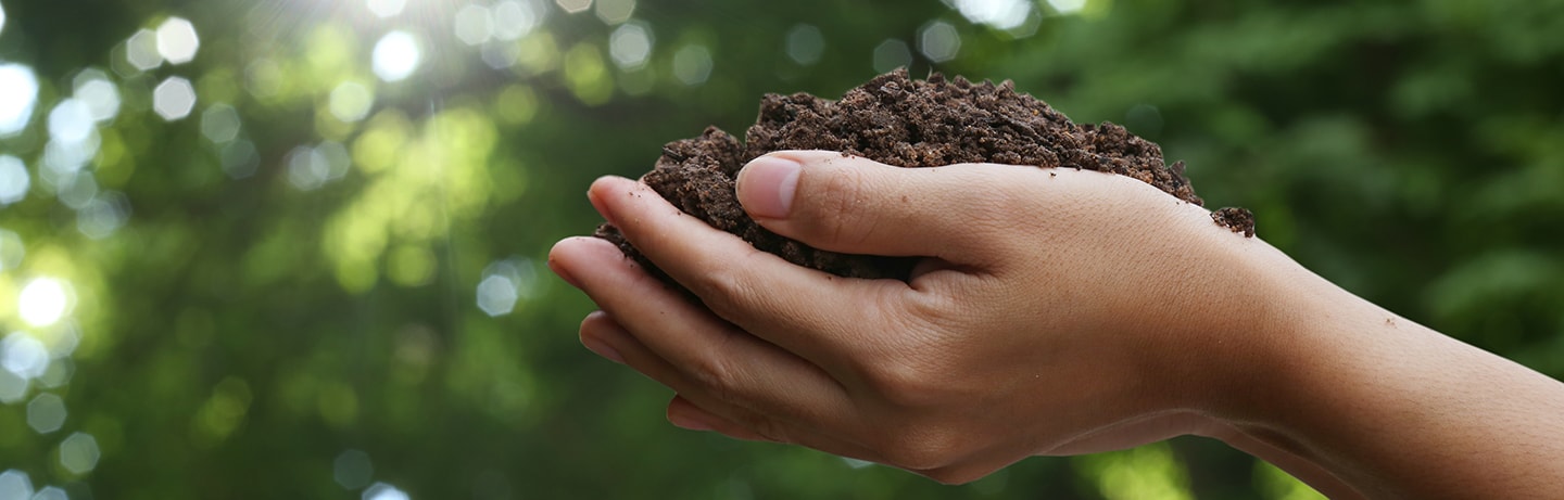 Brown soil held in hands with trees in background