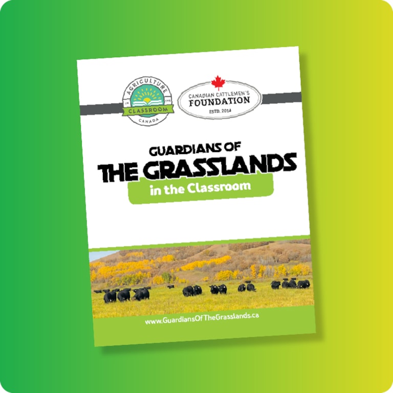 Guardians of the Grasslands teacher guide cover on green and yellow gradient background