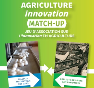 Screenshot of first card of Agriculture Innovation Match-up Game with new banner across the top