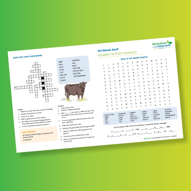 All About Beef activity sheet on a yellow and green gradient background