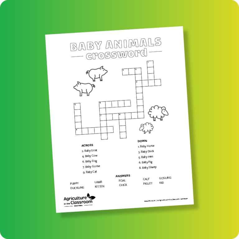 Baby Animals crossword sheet on green and yellow gradient background